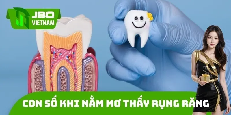 Con số phù hợp khi Nằm mơ thấy rụng răng