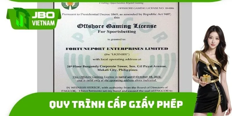 Quy trình cấp giấy phép hoạt động hợp pháp cho những ai chưa biết