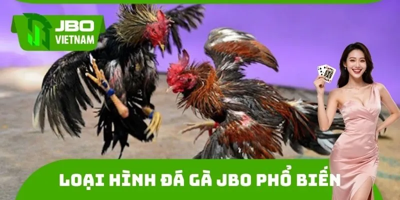 Loại hình đá gà JBO phổ biến