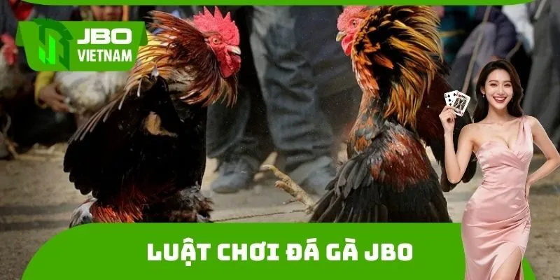 Luật chơi đá gà JBO