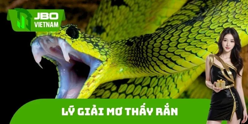 Lý giải Mơ thấy rắn là điềm báo gì