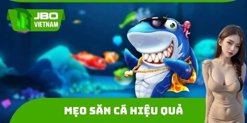 Mẹo săn cá hiệu quả