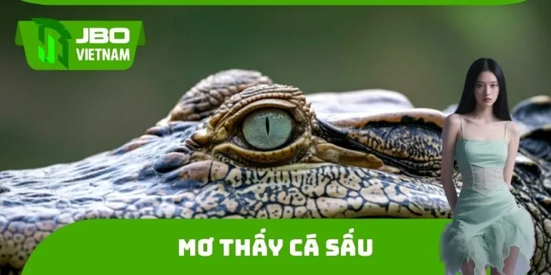 Mơ Thấy Cá Sấu