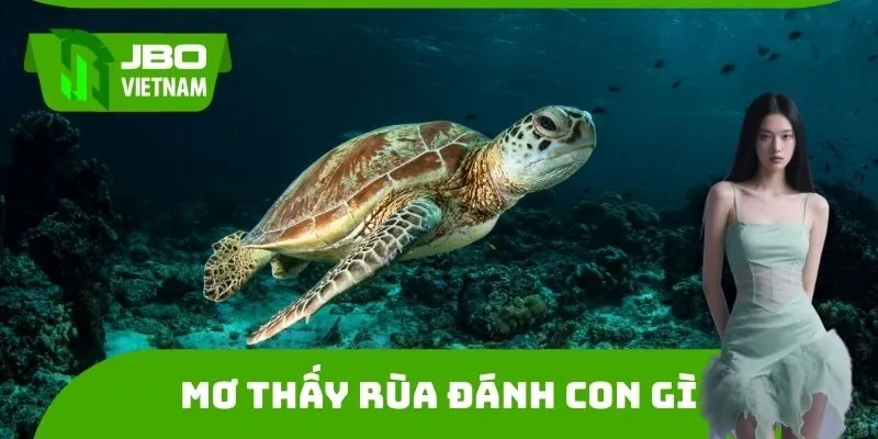 Mơ Thấy Rùa Đánh Con Gì