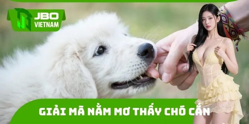 Nằm mơ thấy chó cắn, ý nghĩa trong từng tình huống