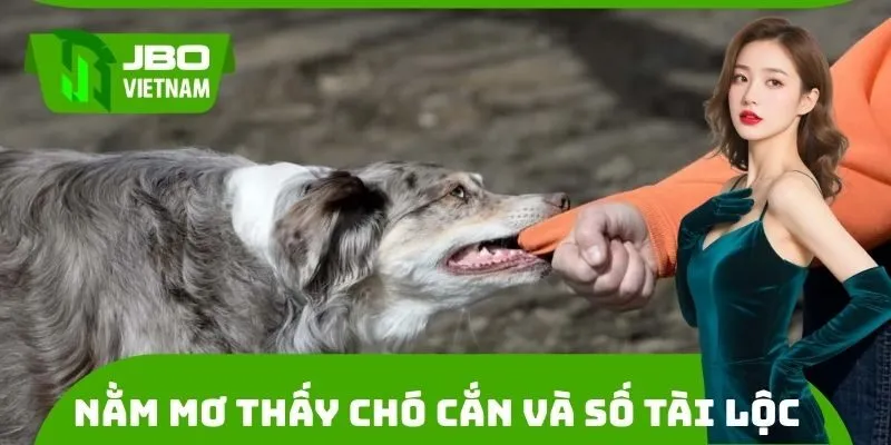 Con số tài lộc liên quan giấc mộng bị chó cắn