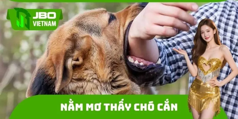 Chiêm bao bị chó đen cắn: 89, 98. Nằm mơ thấy chó cắn