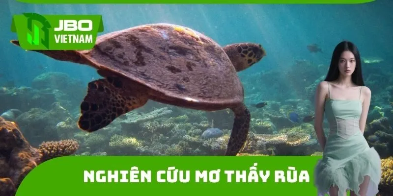 Nghiên cứu Mơ thấy rùa đánh con gì
