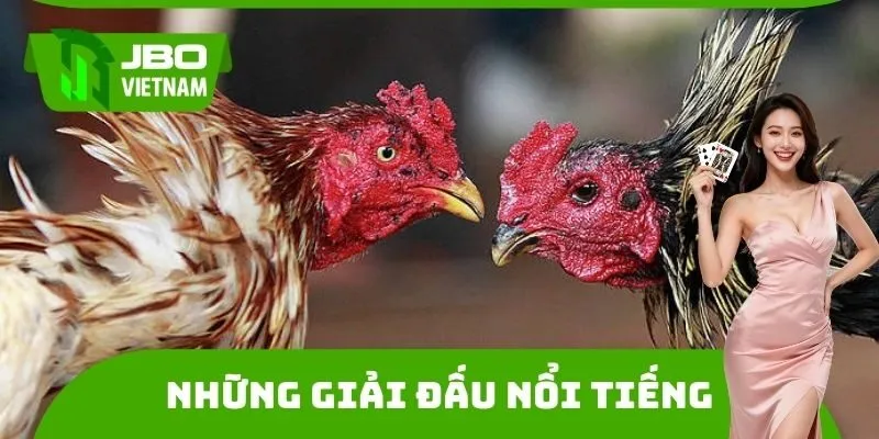Những giải đấu nổi tiếng