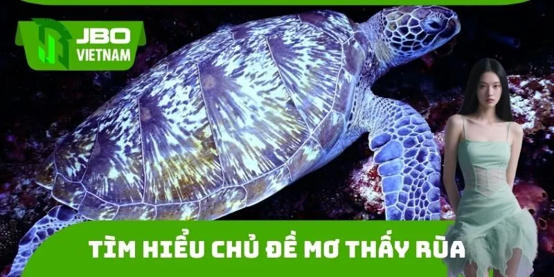 Tìm hiểu chủ đề Mơ thấy rùa đánh con gì