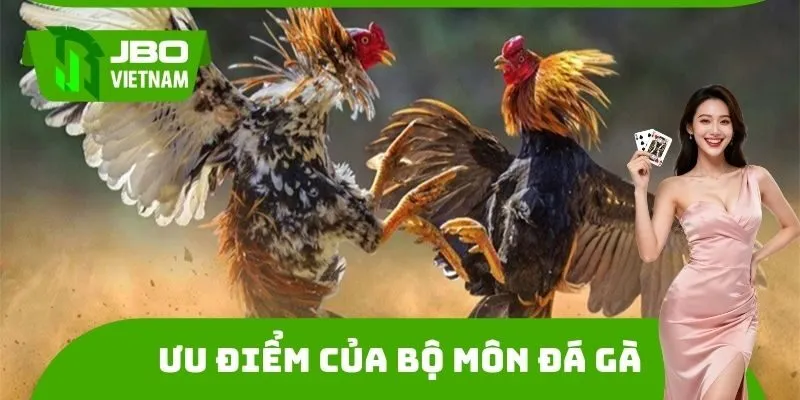 Ưu điểm của bộ môn đá gà